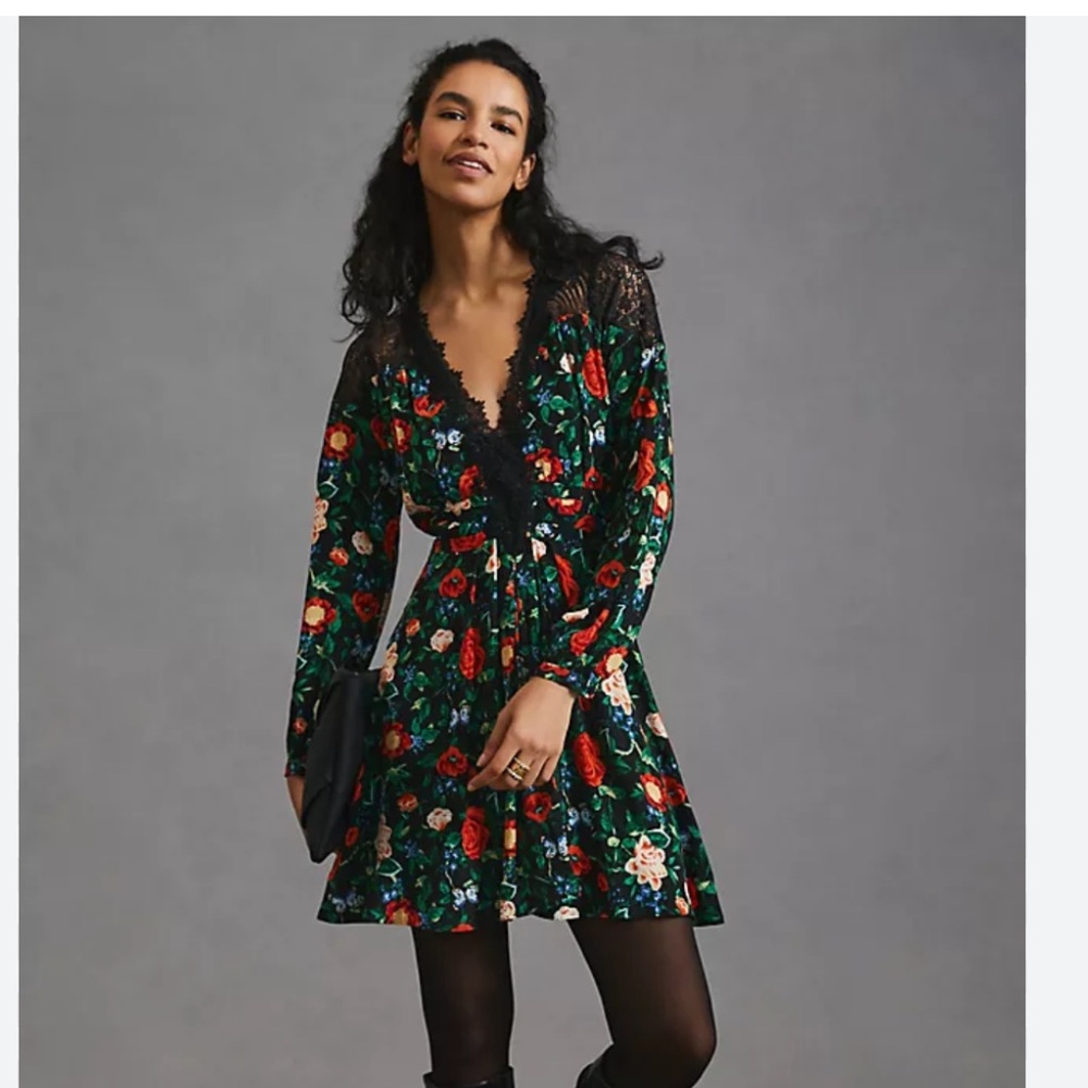 Anthropologie Lace Neck Pleated Fit and Flare Dress